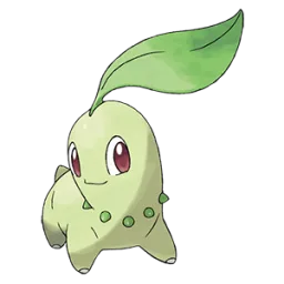 Chikorita