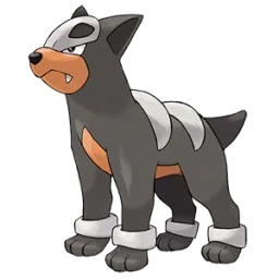 Houndour