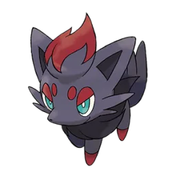 Zorua